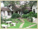 Paths in the Garden