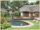The Garden and Pool
